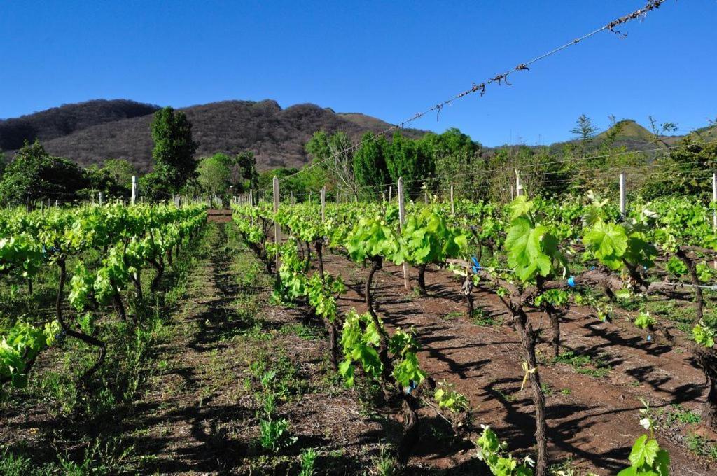 Finca Cielo Verde Chicoana Luaran gambar