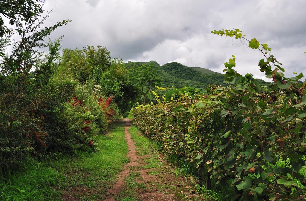 Finca Cielo Verde Chicoana Luaran gambar